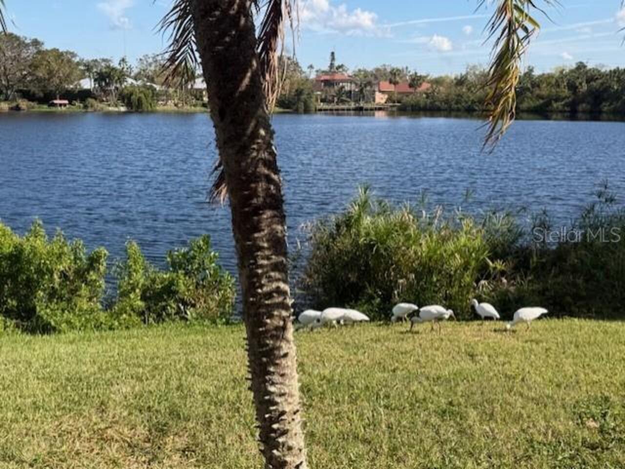 Listing Photo 34