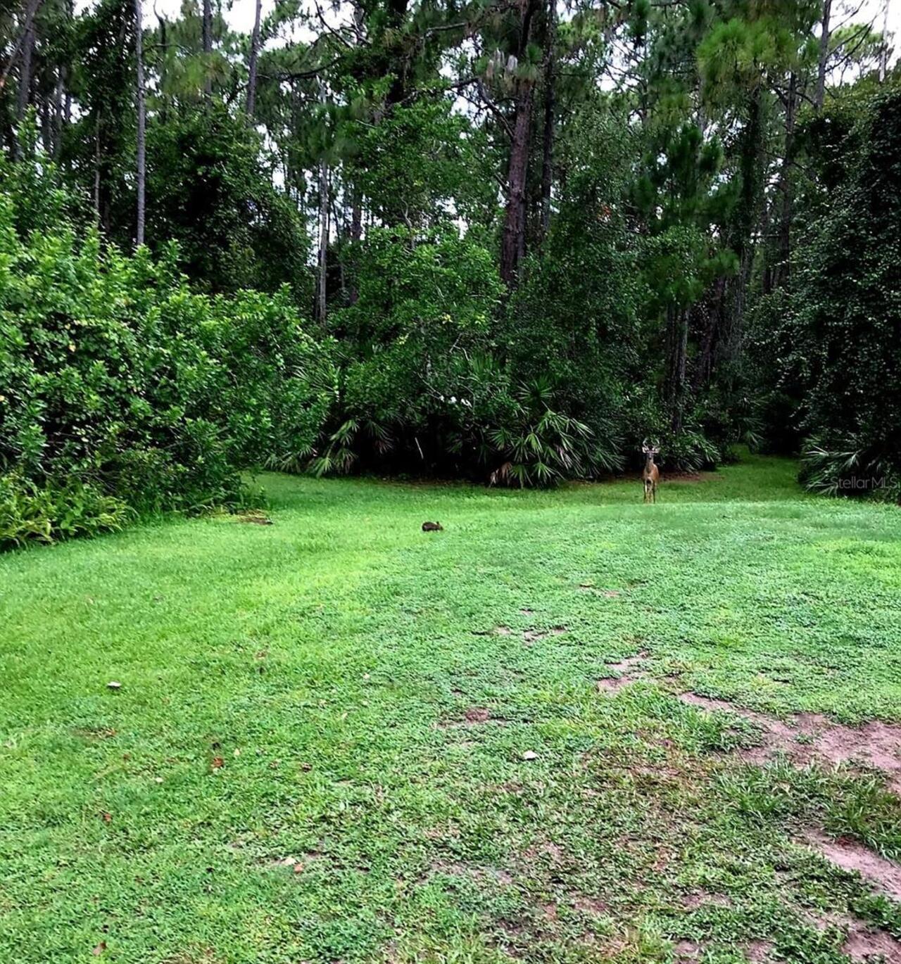 Listing Photo 10