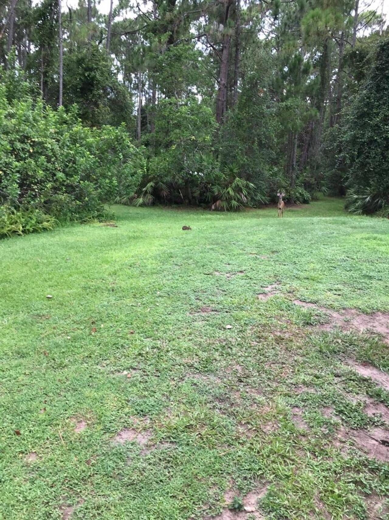 Listing Photo 11