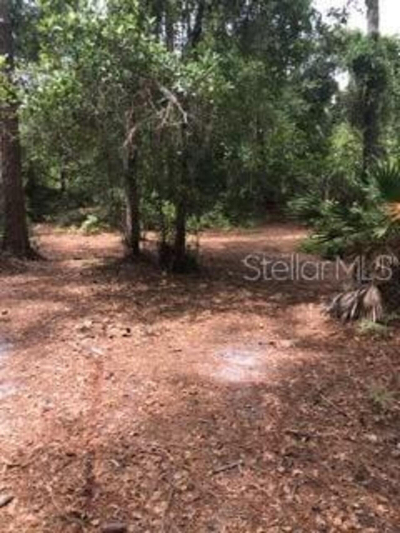 Listing Photo 15
