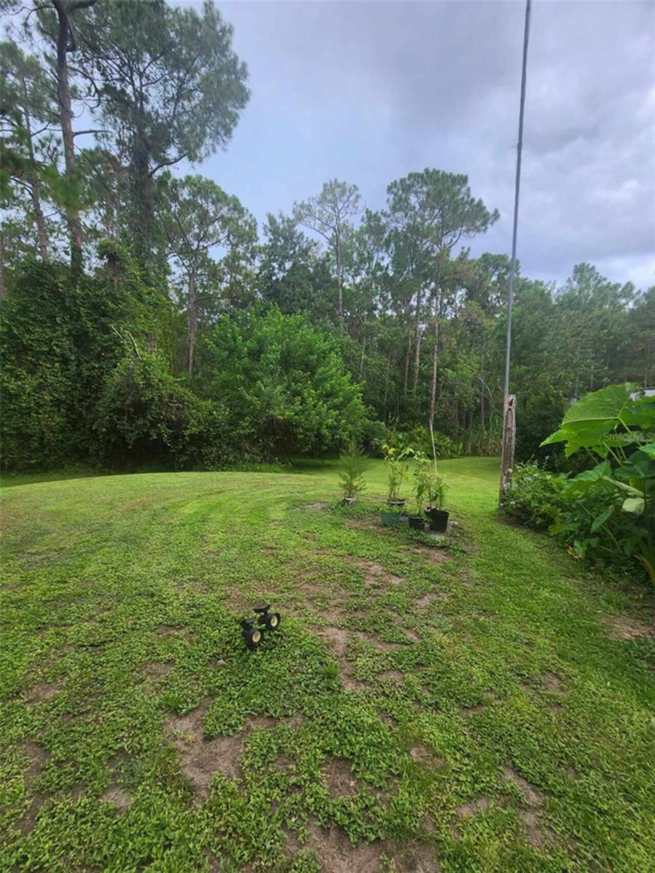 Listing Photo 6