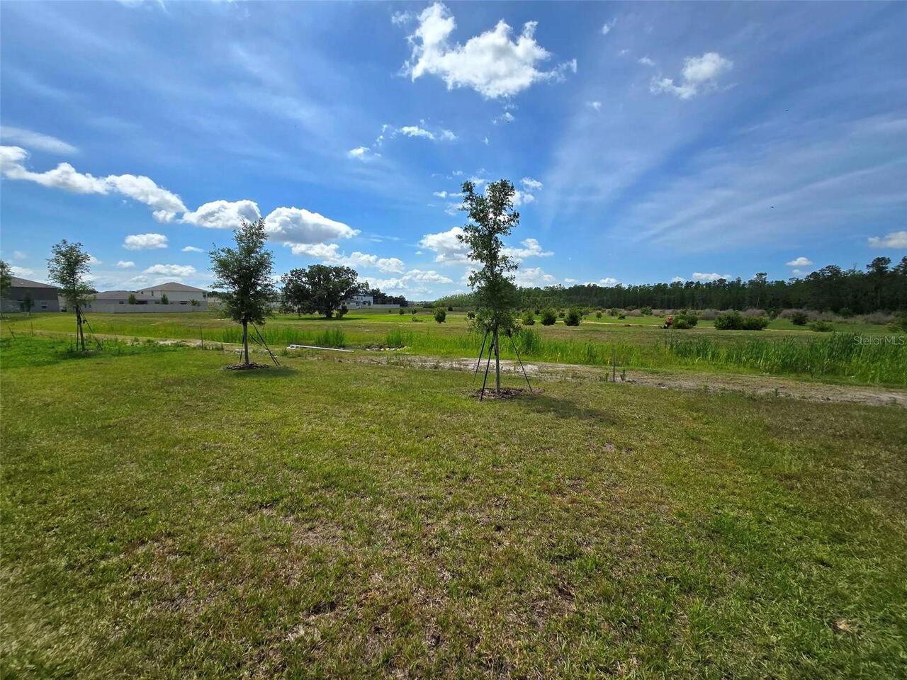 Listing Photo 24