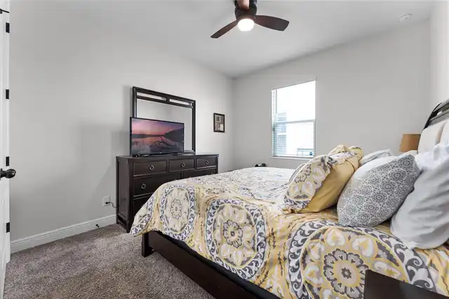 Listing Photo 28