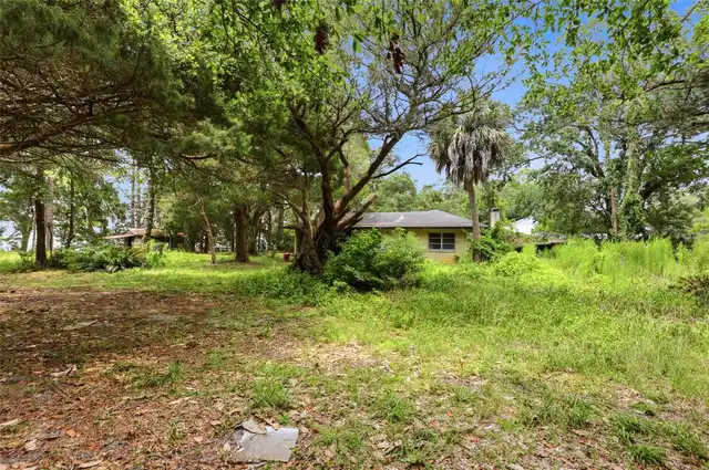 Listing Photo 18