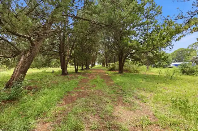 Listing Photo 19