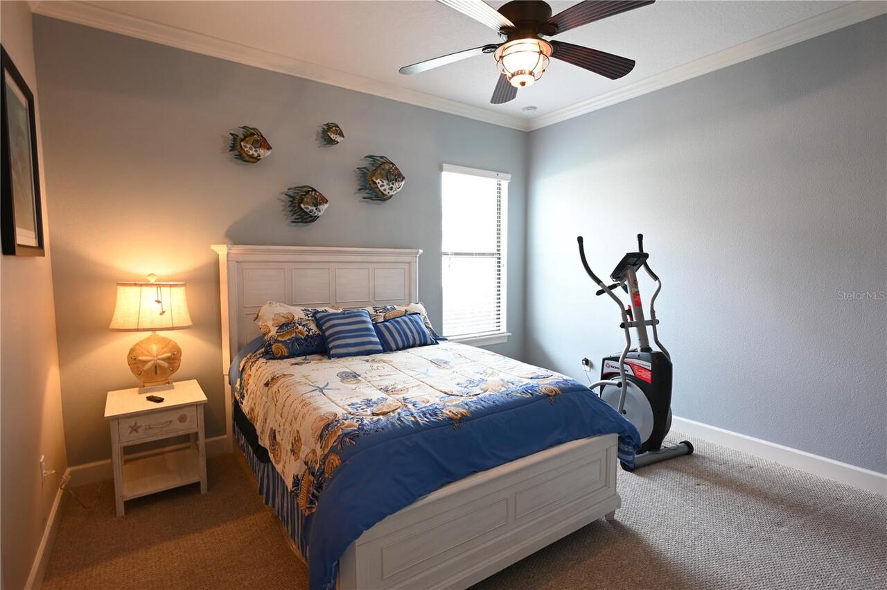 Listing Photo 43