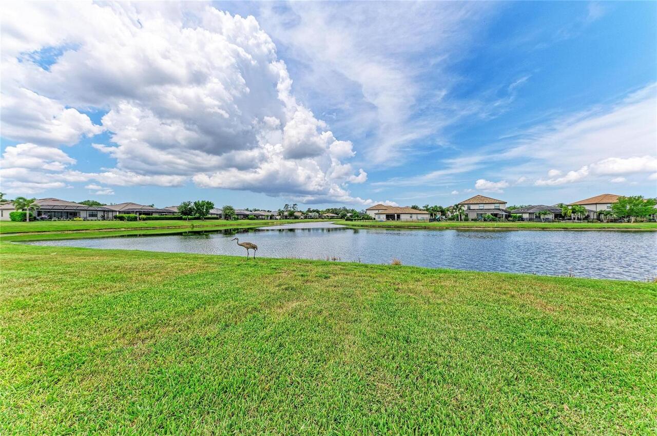 Listing Photo 43