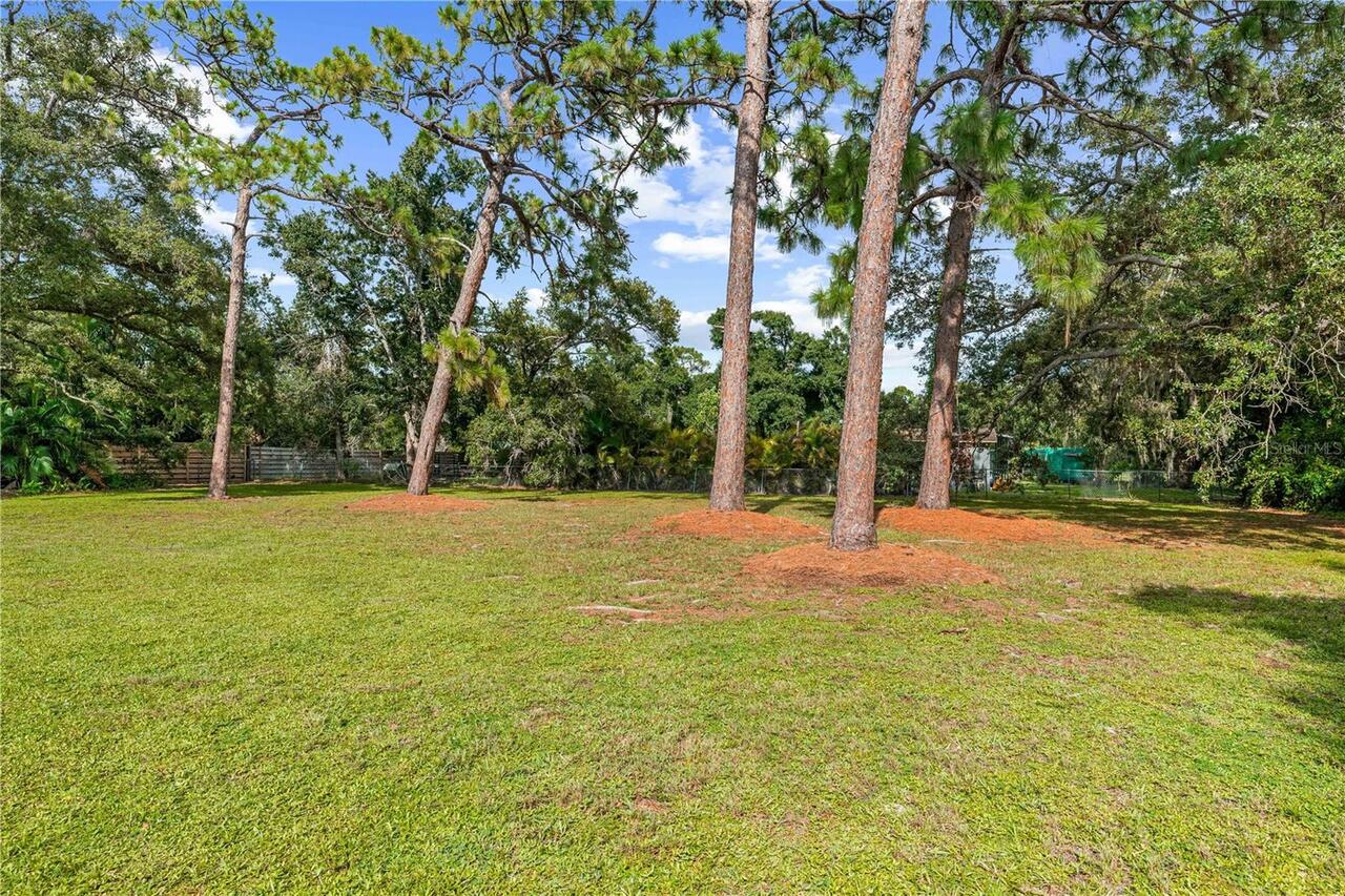 Listing Photo 45