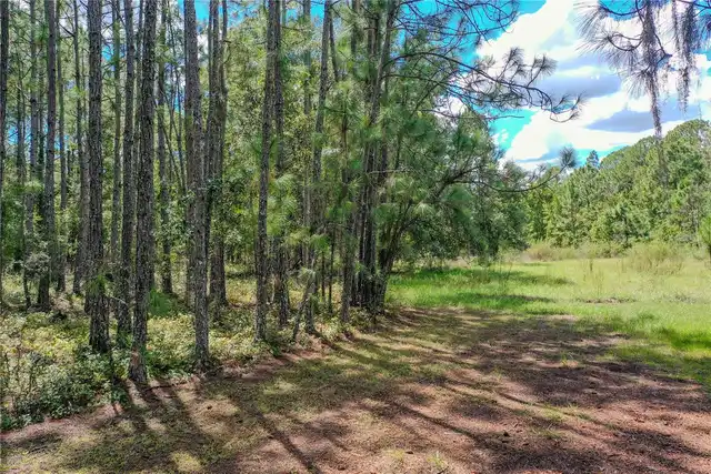 Listing Photo 9