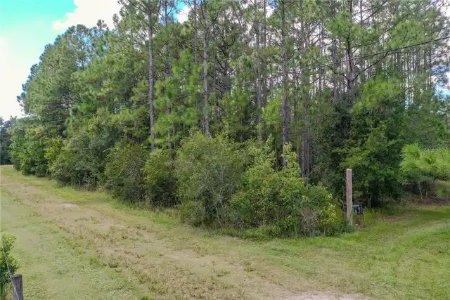 Listing Photo 16