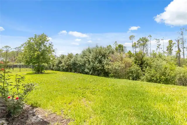 Listing Photo 47