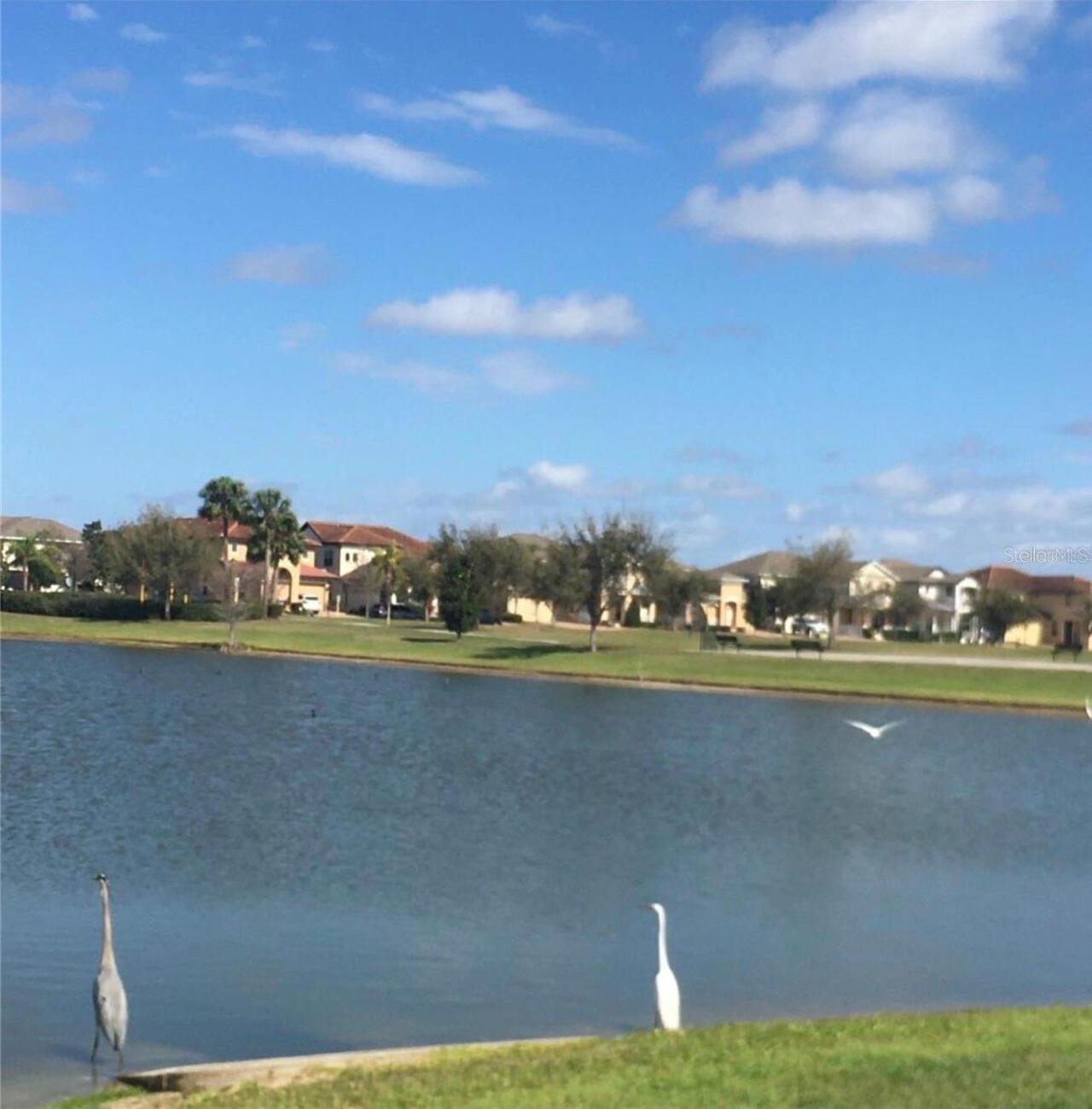 Listing Photo 25
