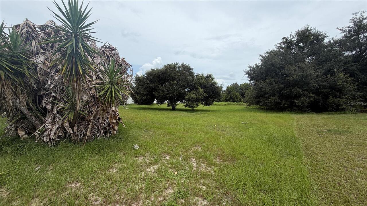 Listing Photo 23
