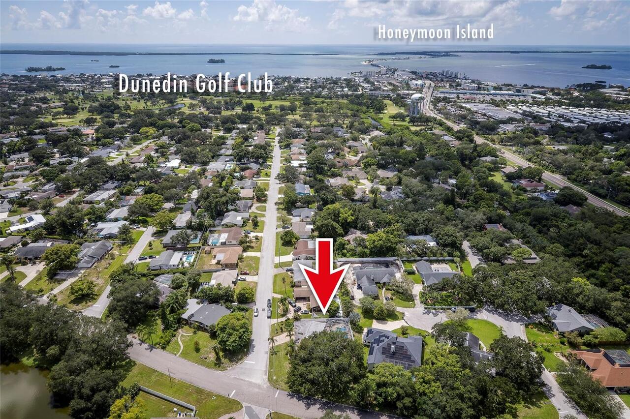 Dunedin Real Estate