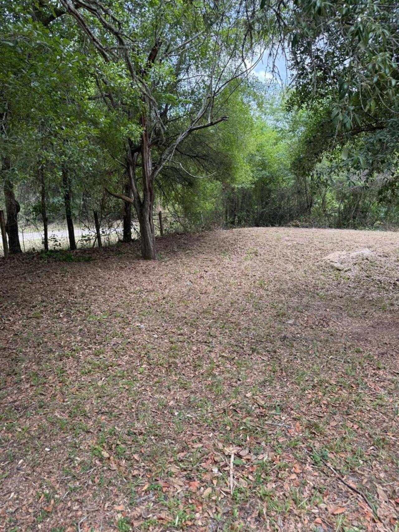 Listing Photo 25