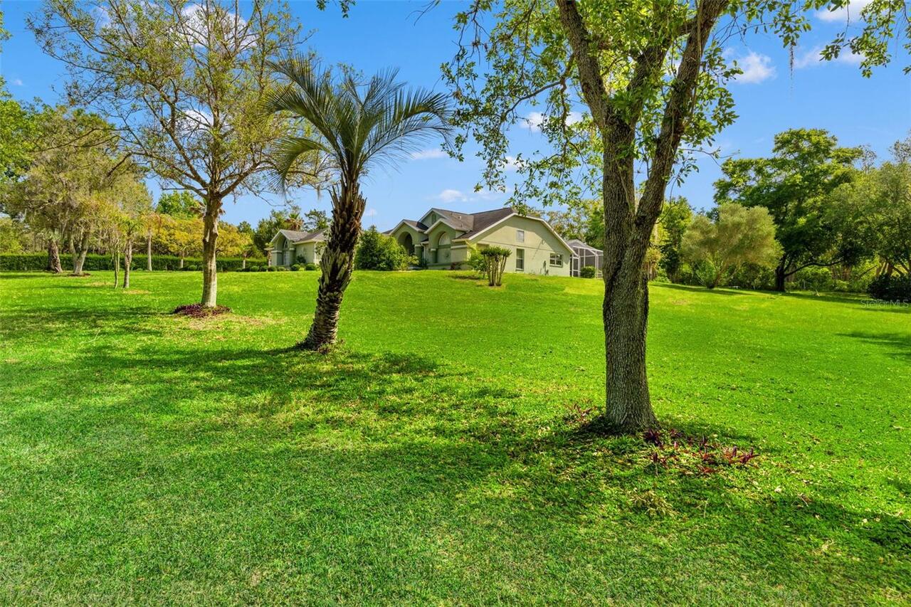 Listing Photo 41