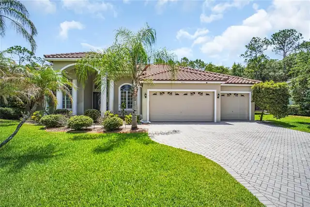 Oldsmar Real Estate