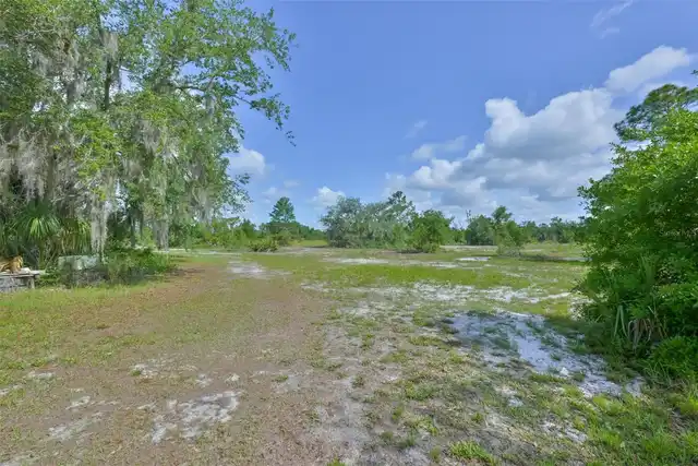 Listing Photo 39