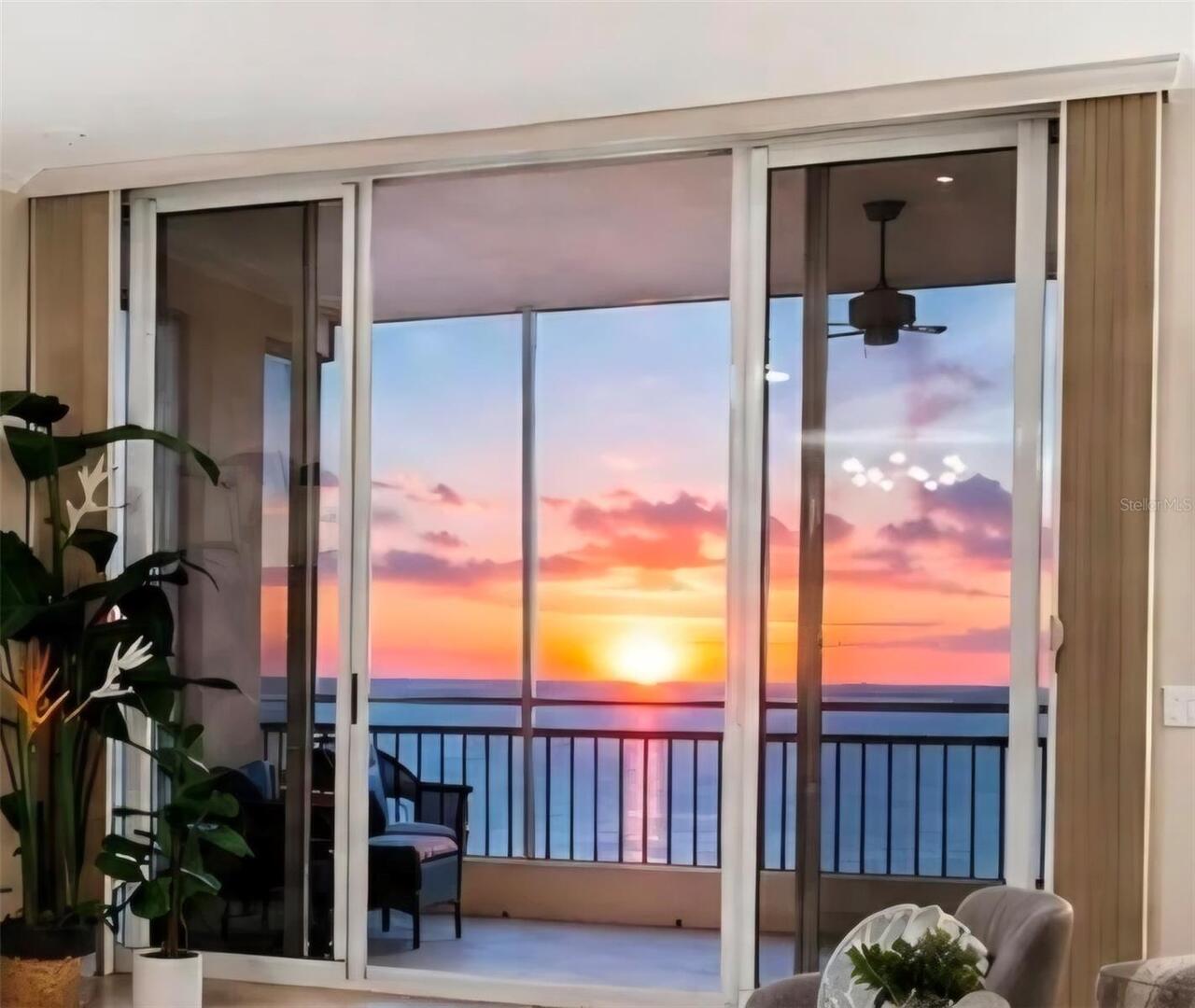 Palmetto Real Estate