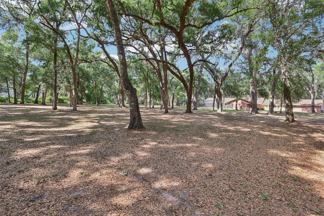 Listing Photo 74