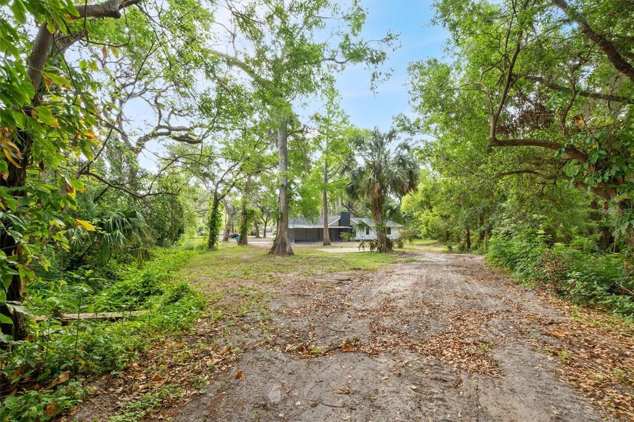 Listing Photo 31