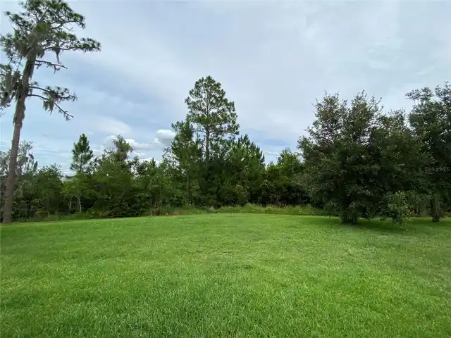Listing Photo 34
