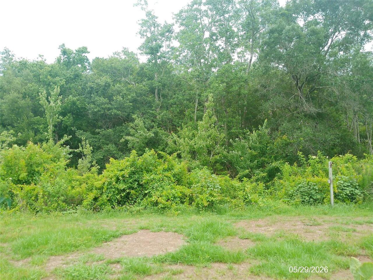 Listing Photo 23