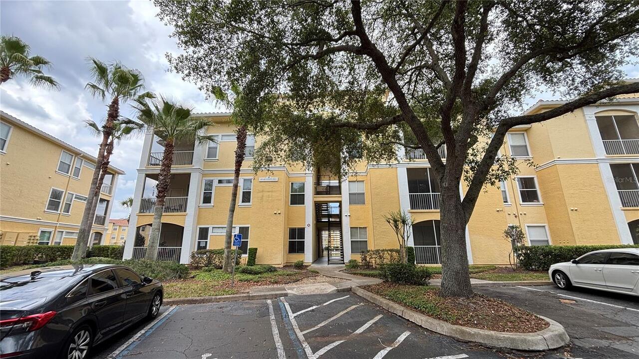 Maitland Real Estate