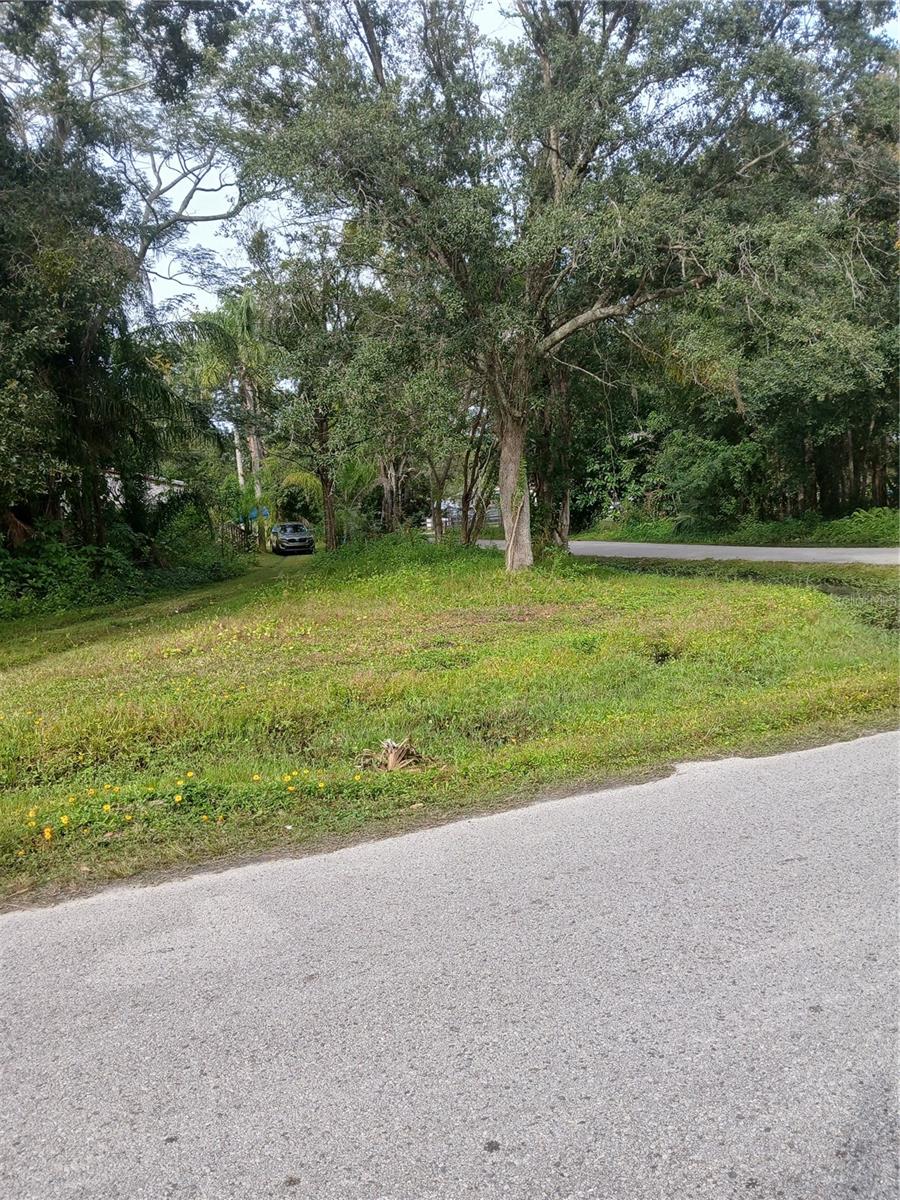 Listing Photo 6