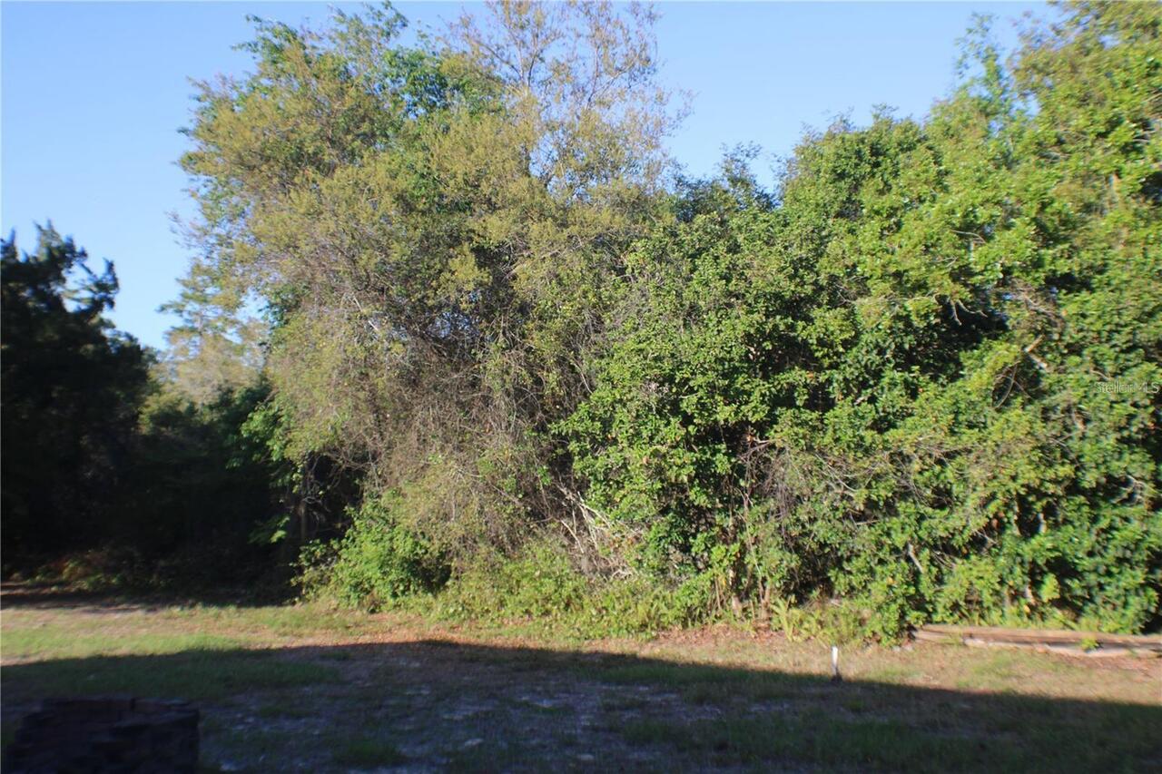 Listing Photo 11