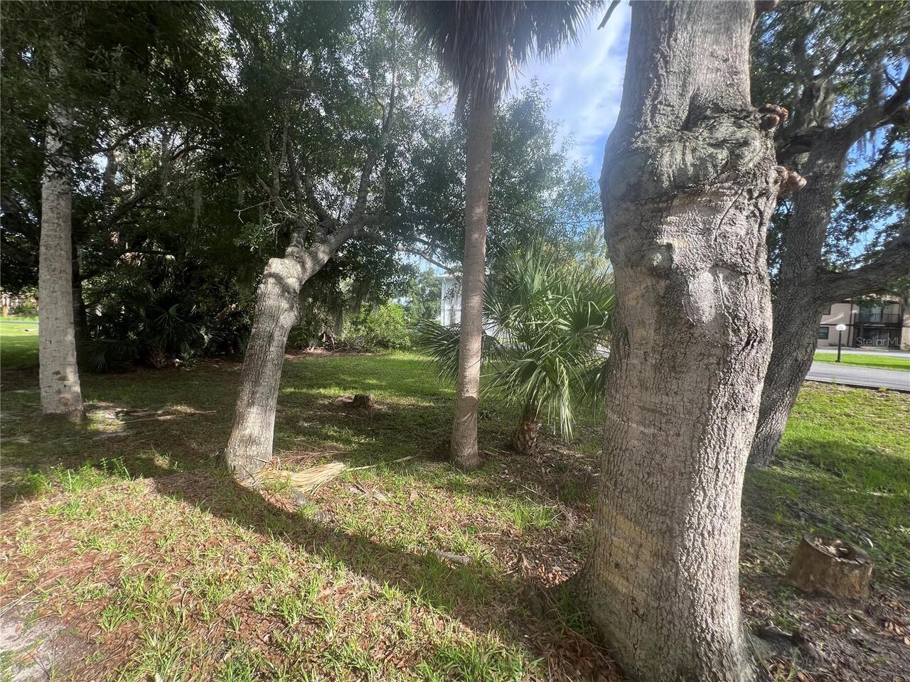Listing Photo 24