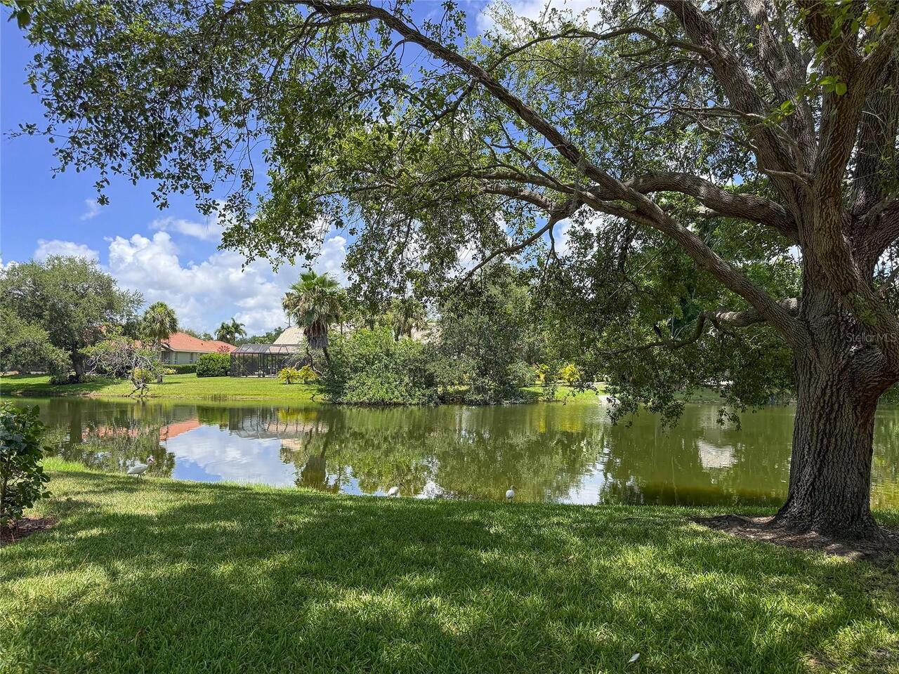 Listing Photo 47