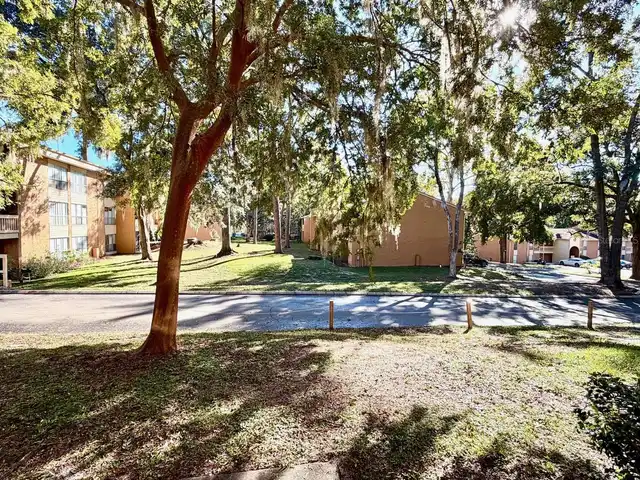 Listing Photo 23