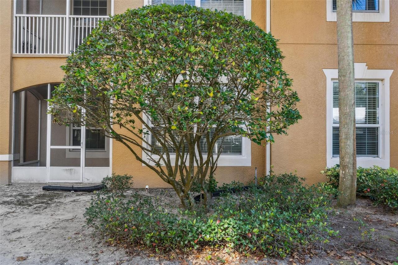 Listing Photo 18