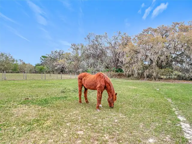 Listing Photo 34