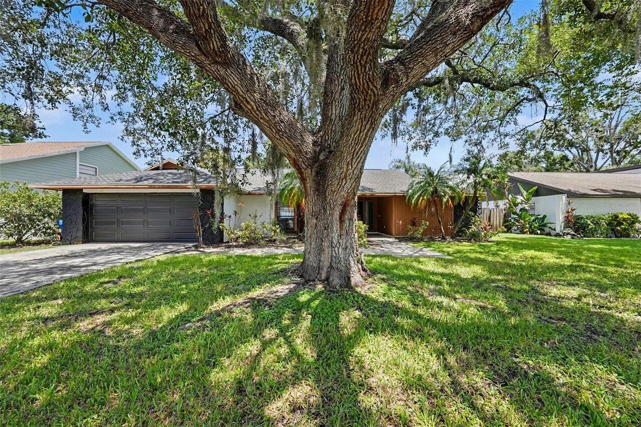 Listing Photo 41