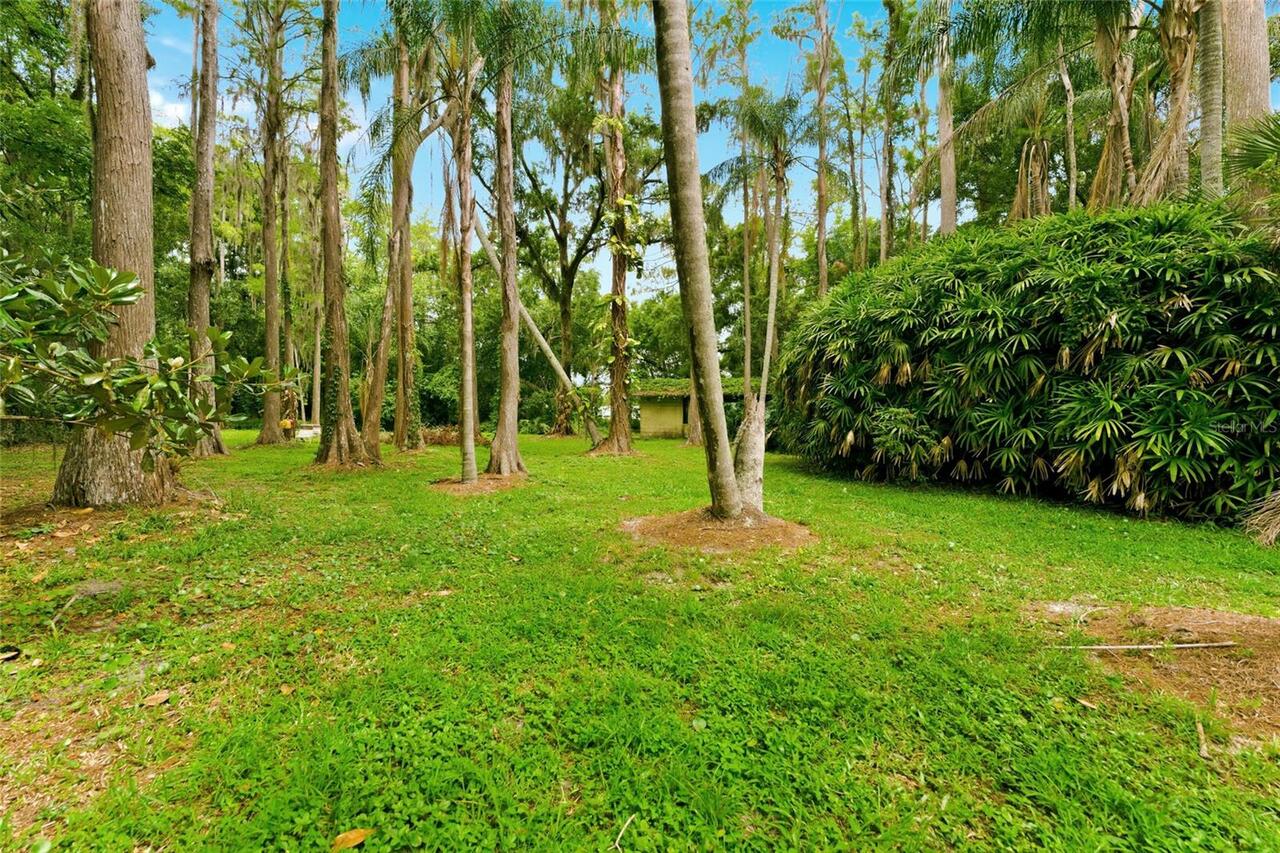 Listing Photo 21