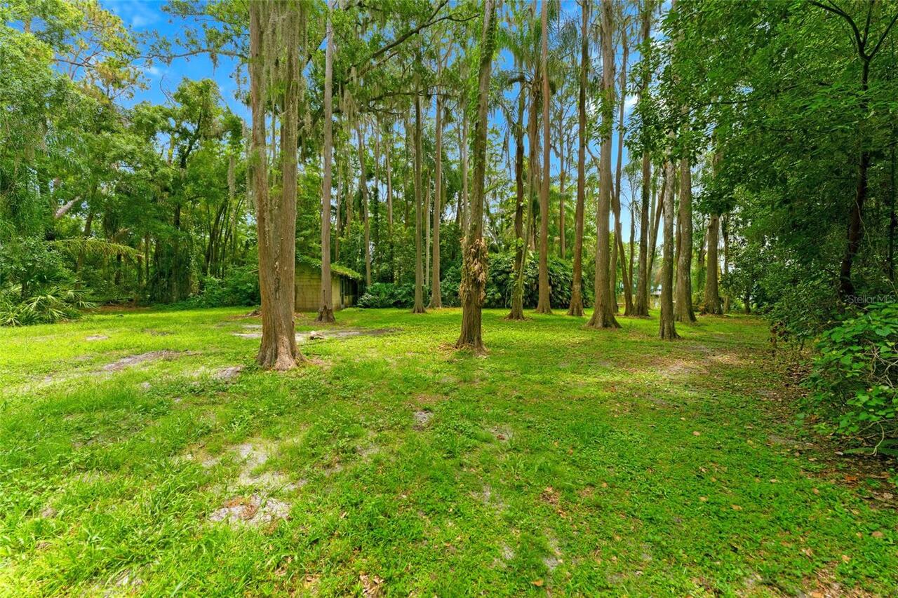 Listing Photo 22