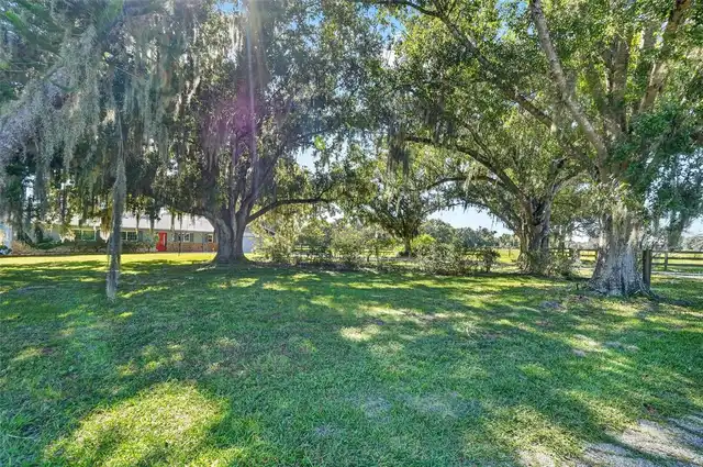 Listing Photo 67