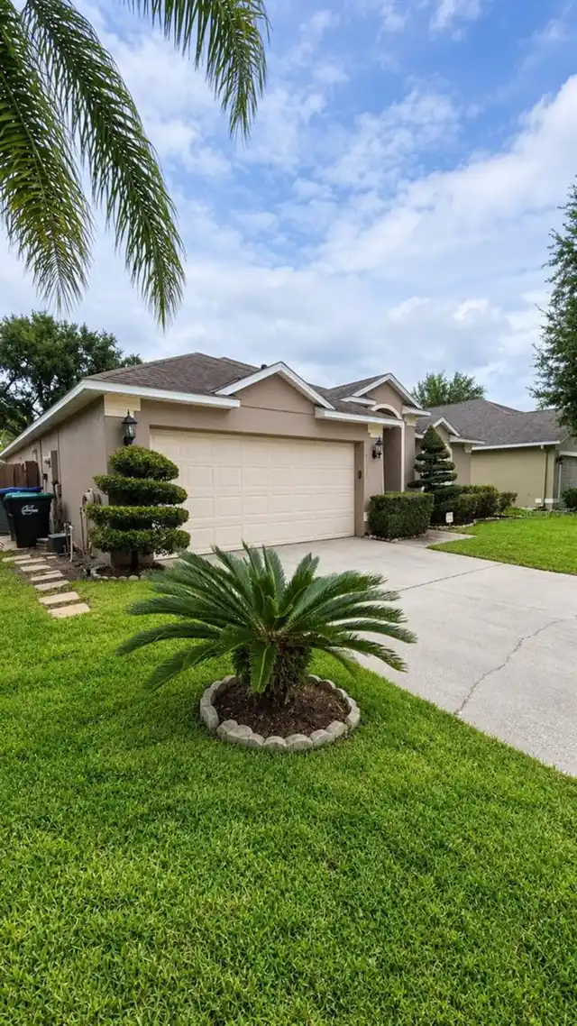 Orlando Real Estate