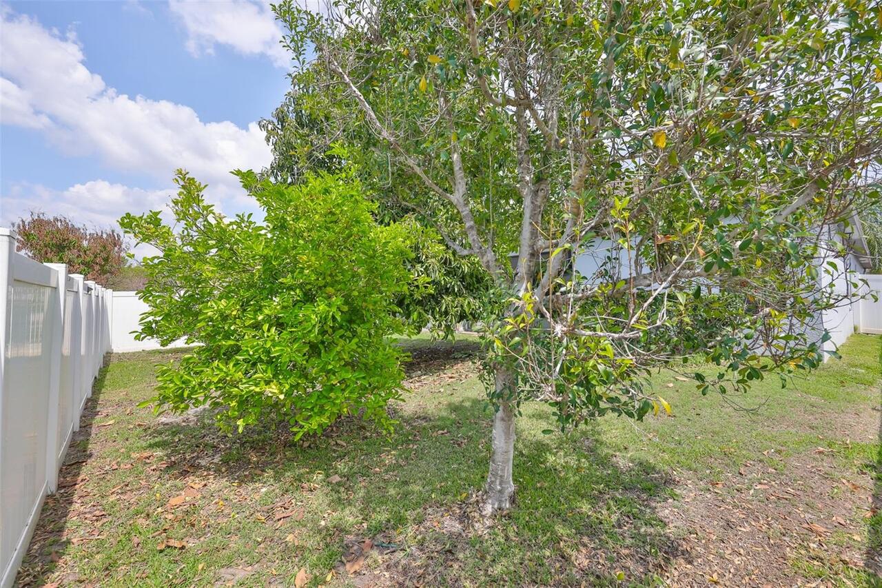 Listing Photo 39