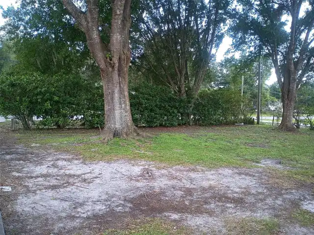Listing Photo 20