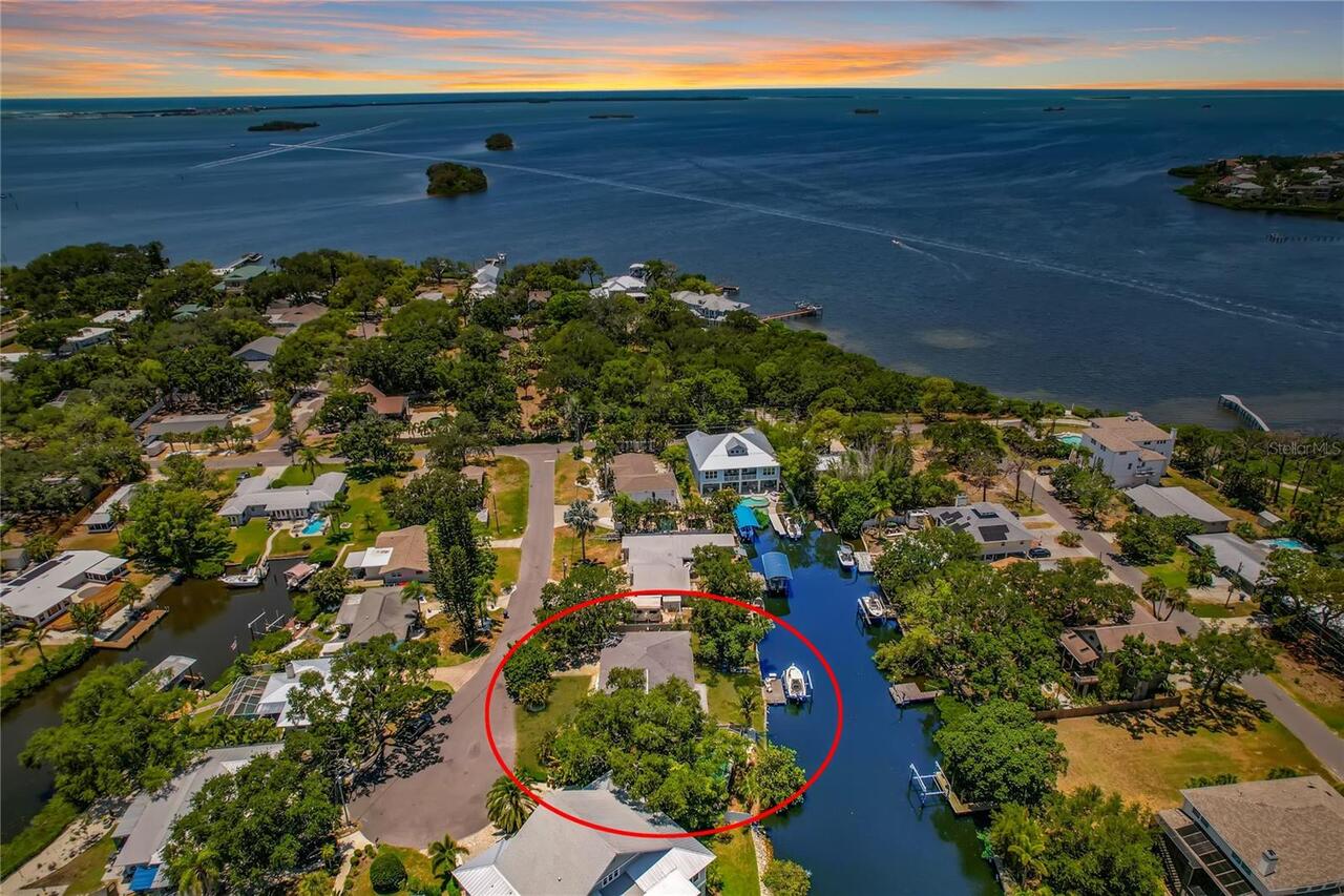 Palm Harbor Real Estate