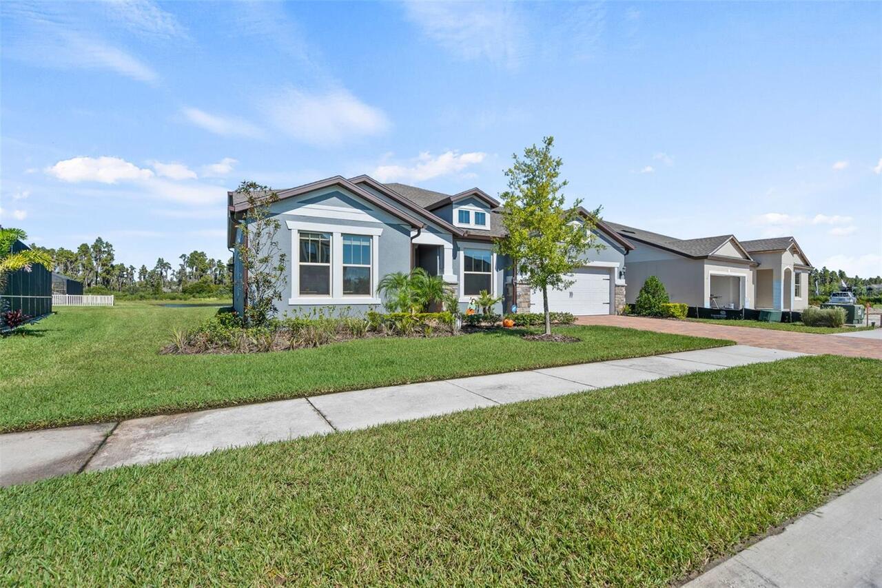 Tampa Real Estate