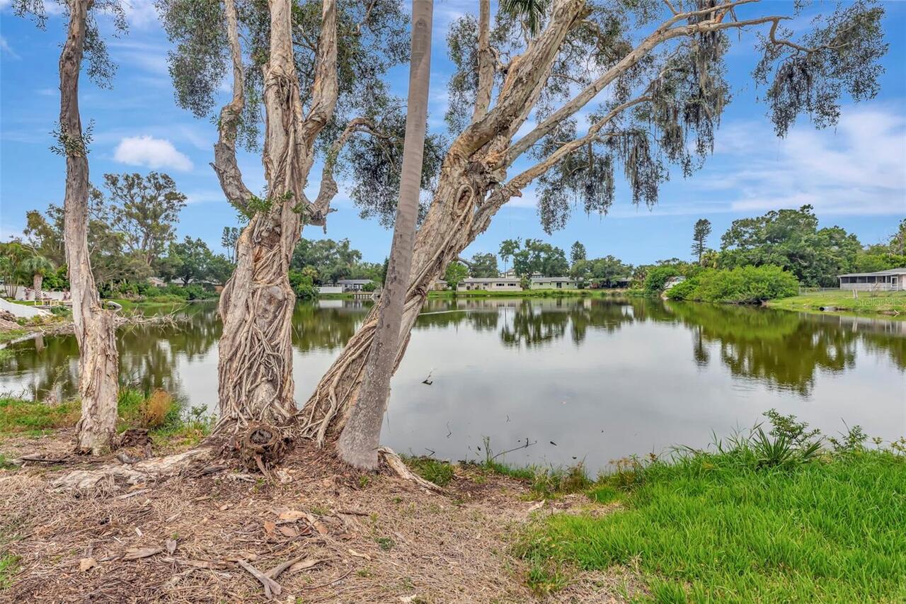 Listing Photo 21