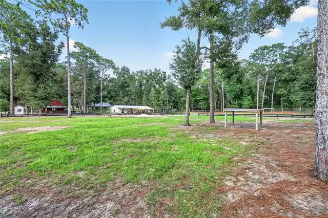 Listing Photo 54