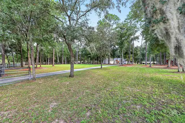 Listing Photo 66
