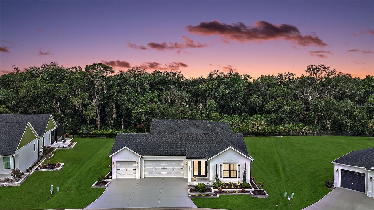 The Villages Real Estate