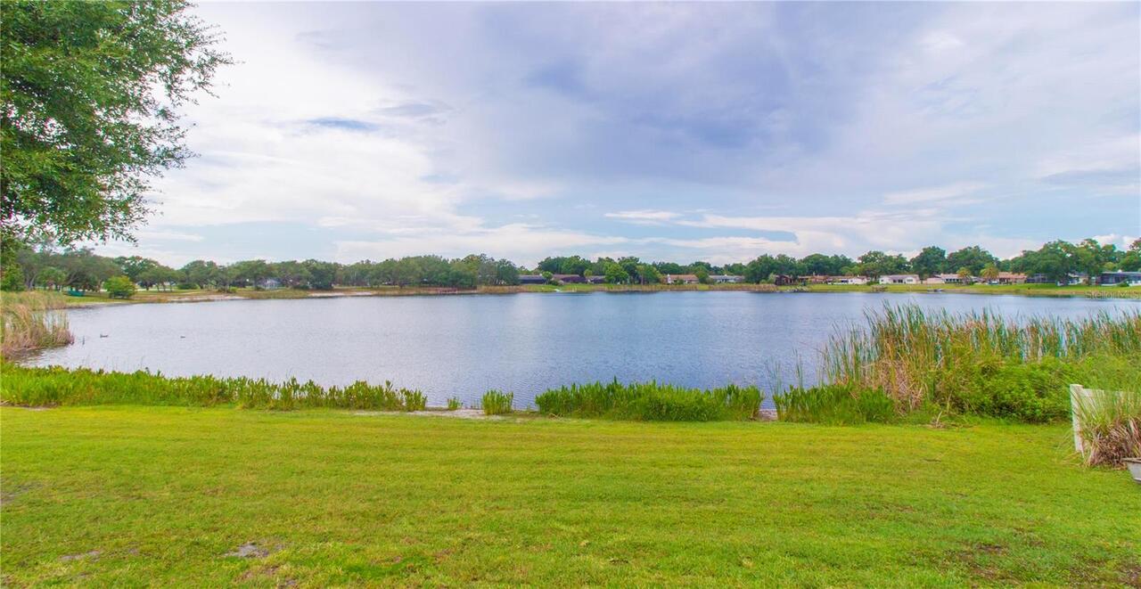 Listing Photo 62