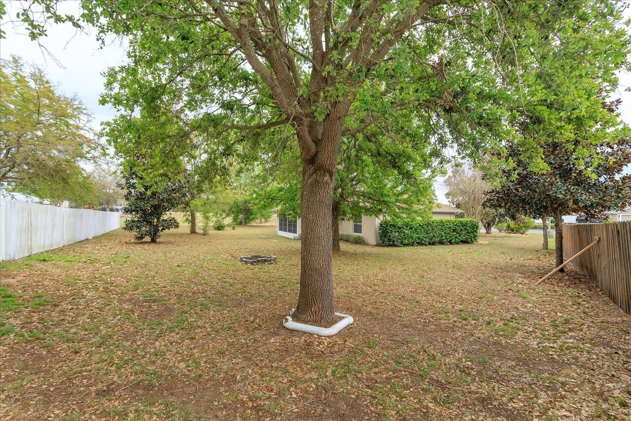 Listing Photo 24